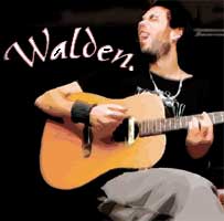 Walden Guitars 20% Off Sale