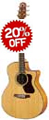 Walden-Guitars-20-Off-Sale