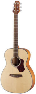NATURA ACOUSTIC GUITAR ORCHESTRA O550