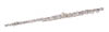 FLUTE S/P W-SILVER LIP