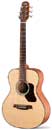 NATURA ACOUSTIC GUITAR T550