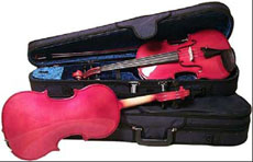 DOLFIN 15” size Viola
