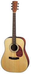 CORT AD850 DREADNOUGHT GUITAR