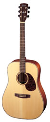 CORT EARTH 100F Dreadnought Guitar