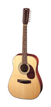 CORT EARTH 70-12 DREADNOUGHT GUITAR 12 STRING