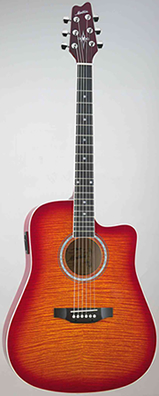 MONTANA Acoustic/Electric Guitar