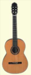 RODRIGUEZ C1 MATTE GUITAR