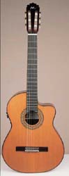 RODRIGUEZ C11 CUTAWAY