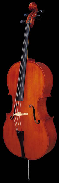 STRUNAL 4/17W ADVANCED 4/4 CELLO