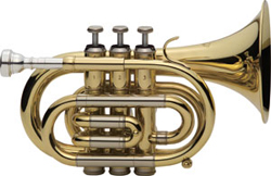 J. MICHAEL Bb Pocket Trumpet 350P