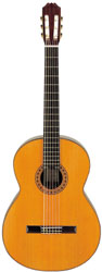ARIA AC75CB CLASSIC CONTRABASS GUITAR
