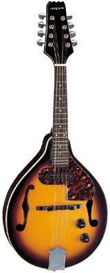 ARIA ELECTRIC MANDOLIN