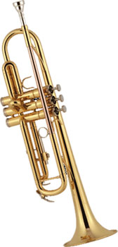 J. MICHAEL Bb DELUXE TRUMPET OUTFIT TR380
