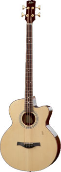 HOFNER Acoustic Bass with Pickup