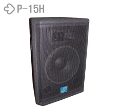 LEEM 15 250 Watt Speaker.