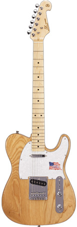 ESSEX SWAMP ASH ELECTRIC GUITAR 3N BIRTHDAY SPECIAL